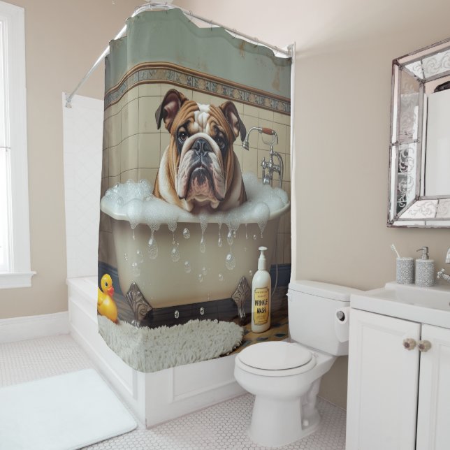 English Bulldog Sloppy Sleepy Cute Funny (In Situ)