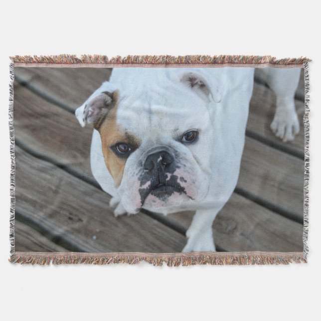 English Bulldog throw blanket (Front)