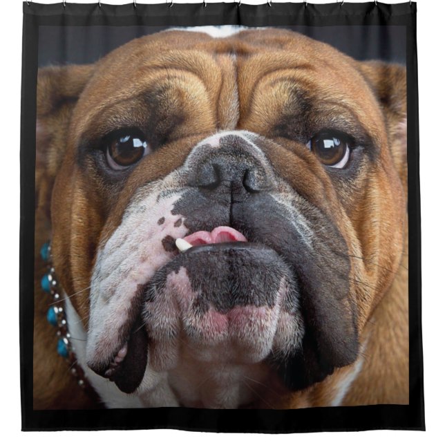 English Bulldog  Throw Pillow (Front)