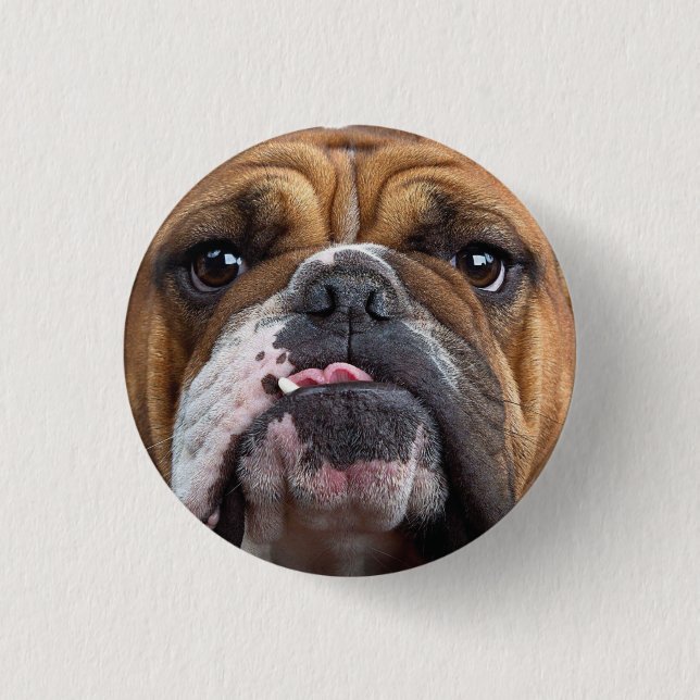 English Bulldog  Throw Pillow 1 Inch Round Button (Front)