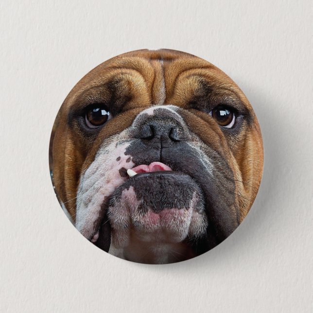 English Bulldog  Throw Pillow 2 Inch Round Button (Front)