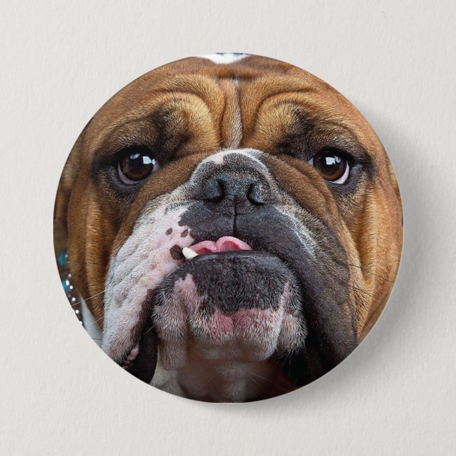 English Bulldog  Throw Pillow 3 Inch Round Button (Front)