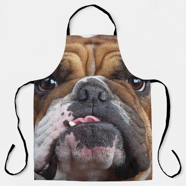 English Bulldog  Throw Pillow Apron (Front)