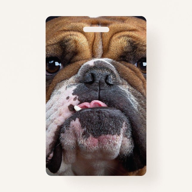 English Bulldog  Throw Pillow Badge (Front)