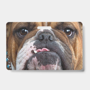 English Bulldog Throw Pillow Badge