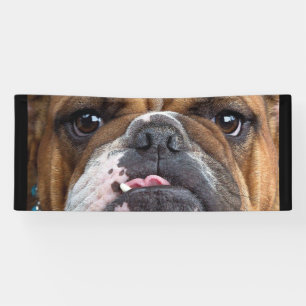 English Bulldog Throw Pillow Banner