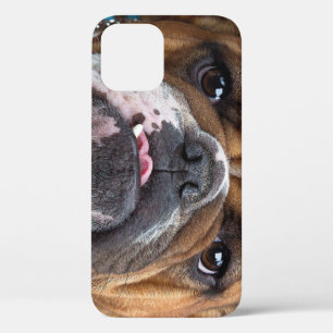 English Bulldog Throw Pillow iPhone 12 Case