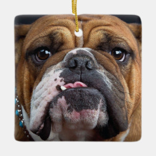 English Bulldog  Throw Pillow Ceramic Ornament