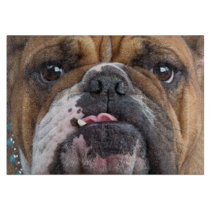 English Bulldog  Throw Pillow Cutting Board
