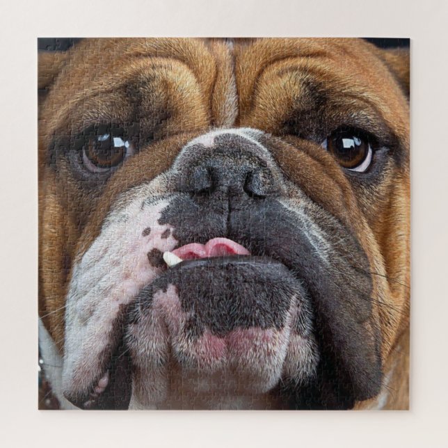 English Bulldog  Throw Pillow Jigsaw Puzzle (Vertical)
