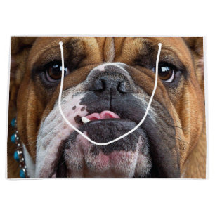 English Bulldog  Throw Pillow Large Gift Bag