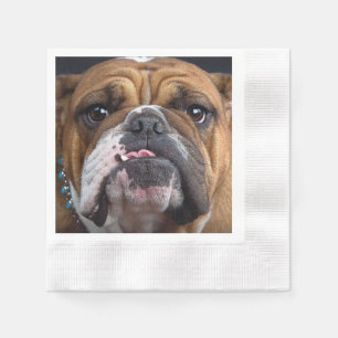 English Bulldog Throw Pillow Napkin