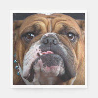 English Bulldog Throw Pillow