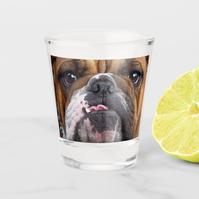 English Bulldog  Throw Pillow Shot Glass (Front)