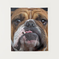 English Bulldog  Throw Pillow