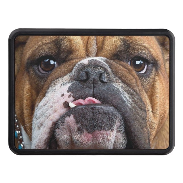 English Bulldog  Throw Pillow Trailer Hitch Cover (Front)