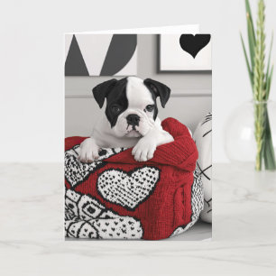 English Bulldog Valentine Card