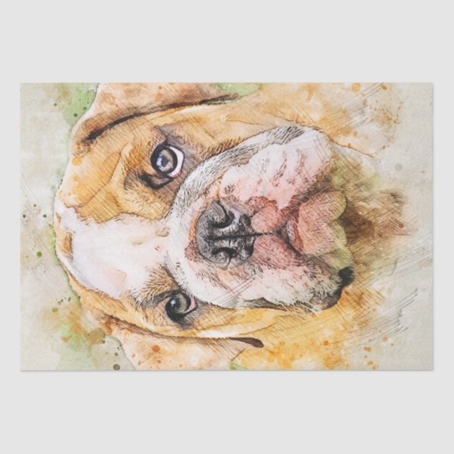 English Bulldog Watercolor Tissue Paper (Front)