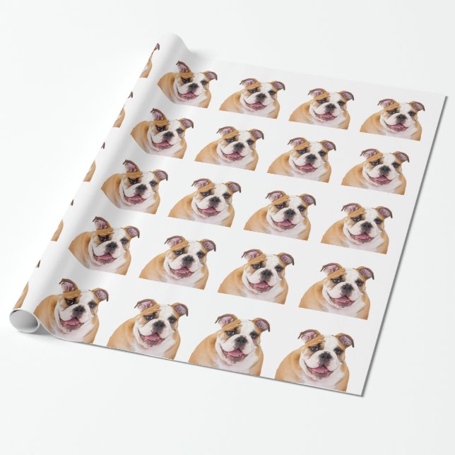 English Bulldog Wrapping Paper (Unrolled)