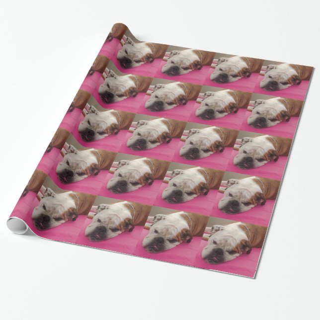 English Bulldog Wrapping Paper (Unrolled)