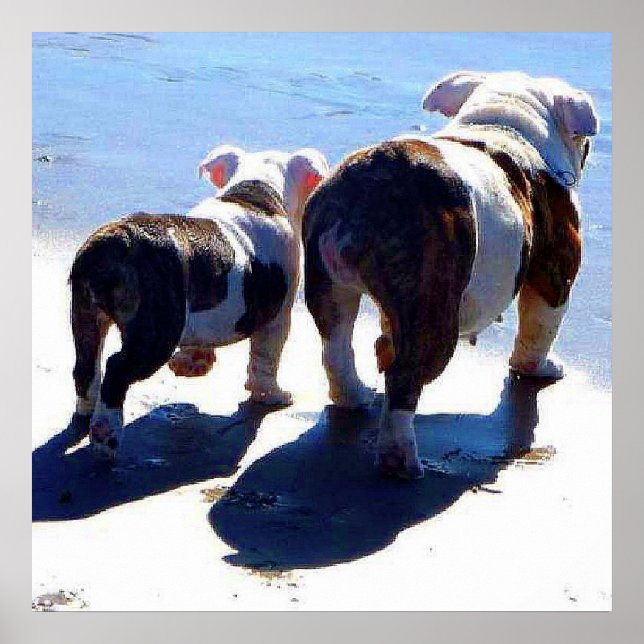 English Bulldogs Alone At Last Poster (Front)