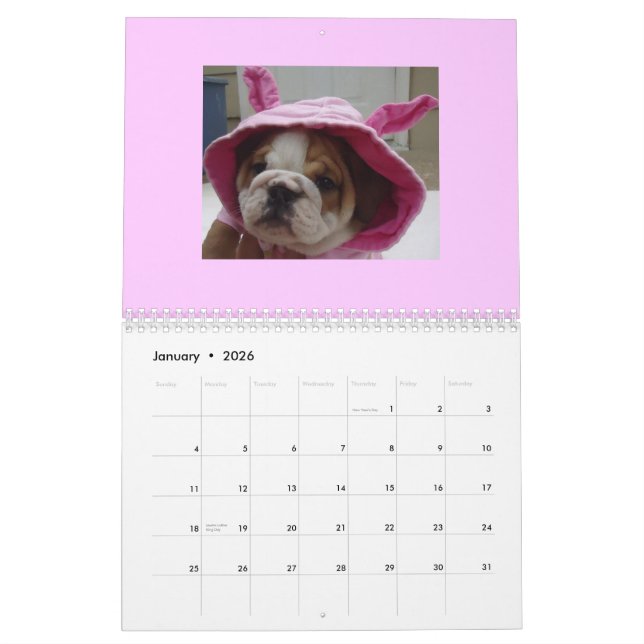 English Bulldogs Calendar! Calendar (Jan 2026)