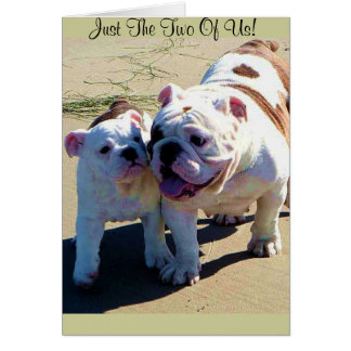 English Bulldogs Just The Two Of Us!