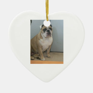 English bulldogs ornaments
