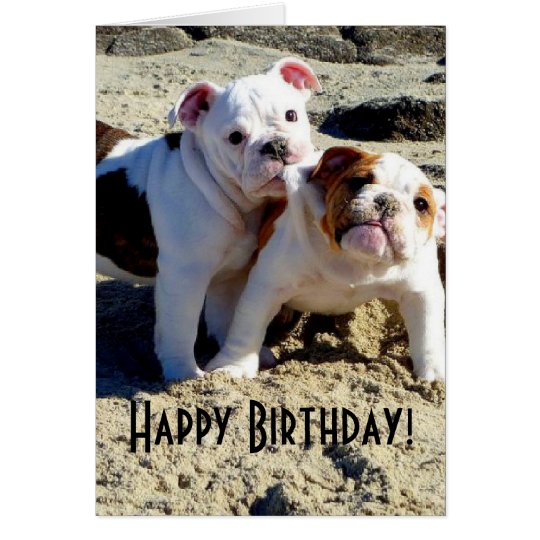 English Bulldogs Puppy Love Birthday Card