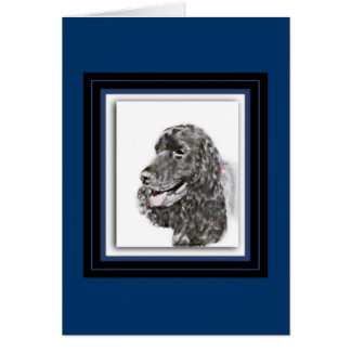 English Cocker Spaniel