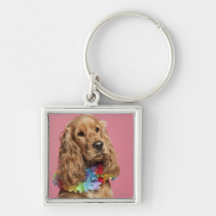 English Cocker Spaniel (10 months old) Keychain