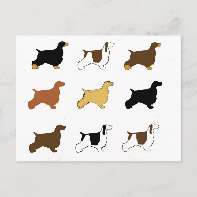 English Cocker Spaniel all colours silos Postcard (Front)