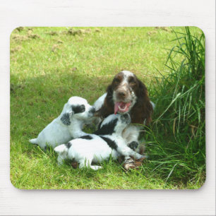English Cocker Spaniel and Puppies Mousepad