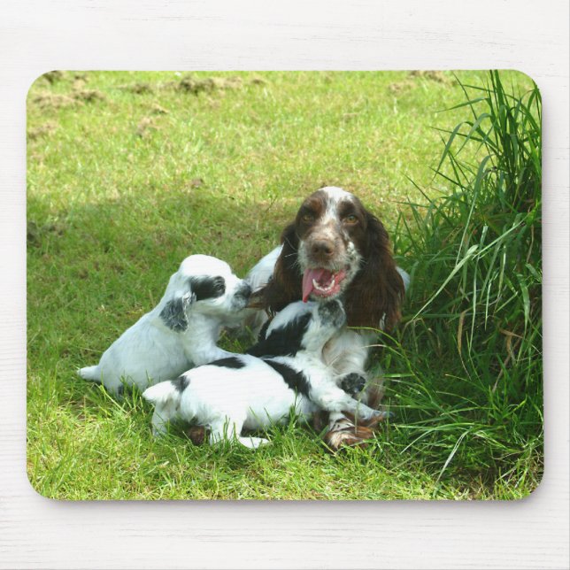 English Cocker Spaniel and Puppies Mousepad (Front)