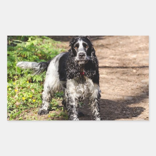 english cocker spaniel black roan full sticker (Front)