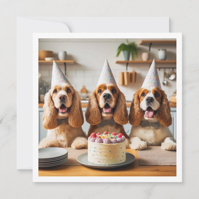 English Cocker Spaniel card,  Spaniel birthday Invitation (Front)