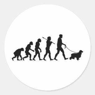 English Cocker Spaniel Classic Round Sticker