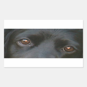 english cocker spaniel eyes black sticker