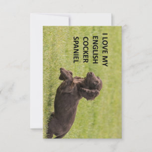 english cocker spaniel love with picture thank you card
