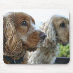 English Cocker Spaniel Mouse Pad