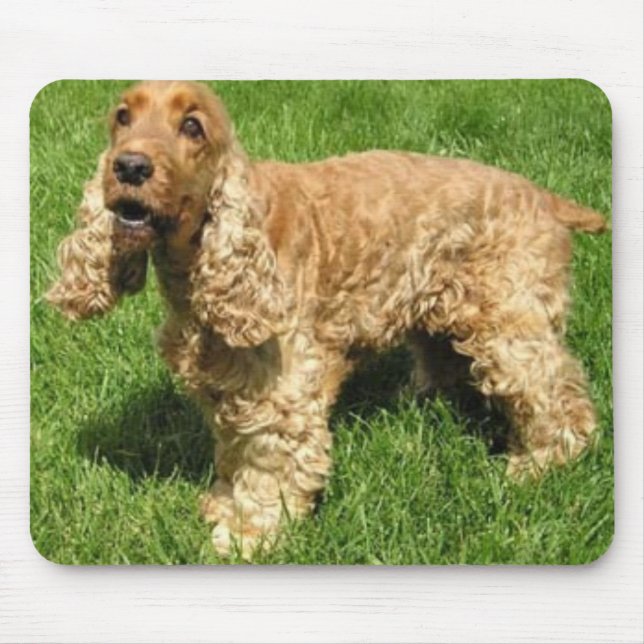 English Cocker Spaniel Mousepad (Front)