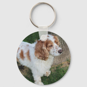 english cocker spaniel orange and white full keychain