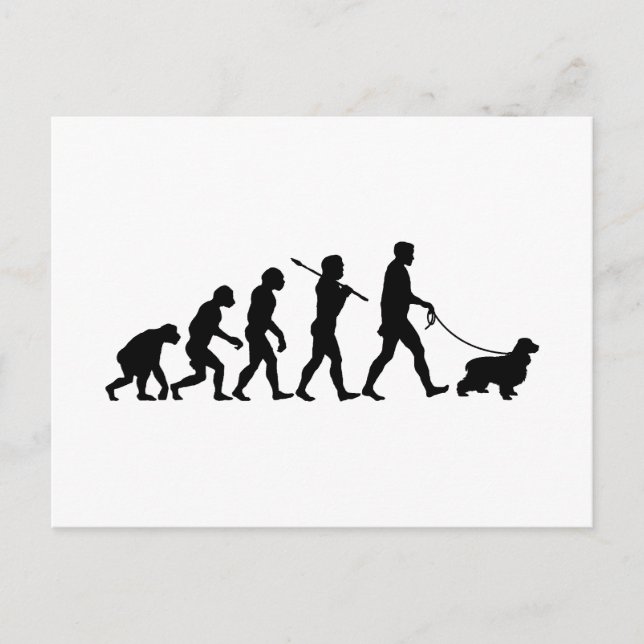 English Cocker Spaniel Postcard (Front)