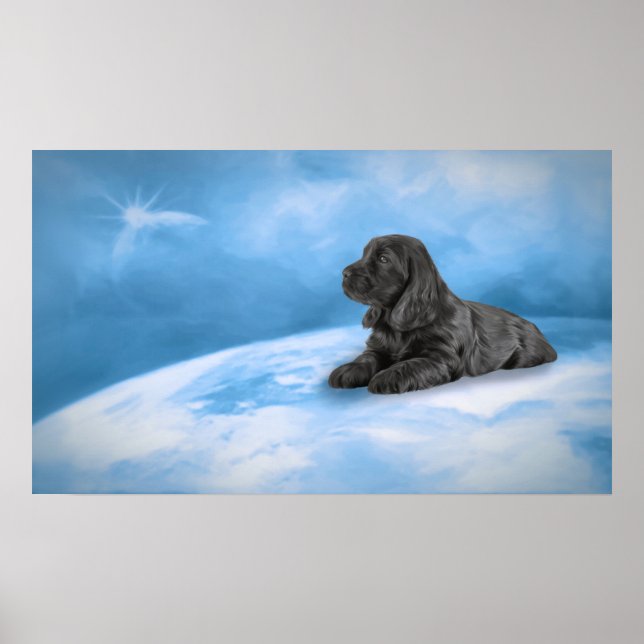 English Cocker Spaniel puppy Poster (Front)