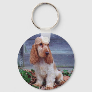 English Cocker Spaniels Keychain