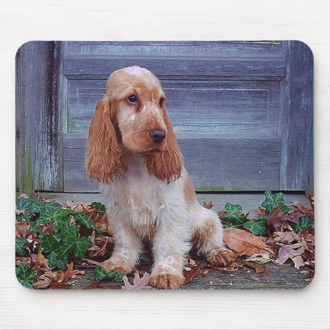 English Cocker Spaniels Mouse Pad (Front)