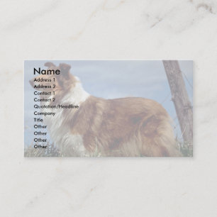 English Collie Business Card