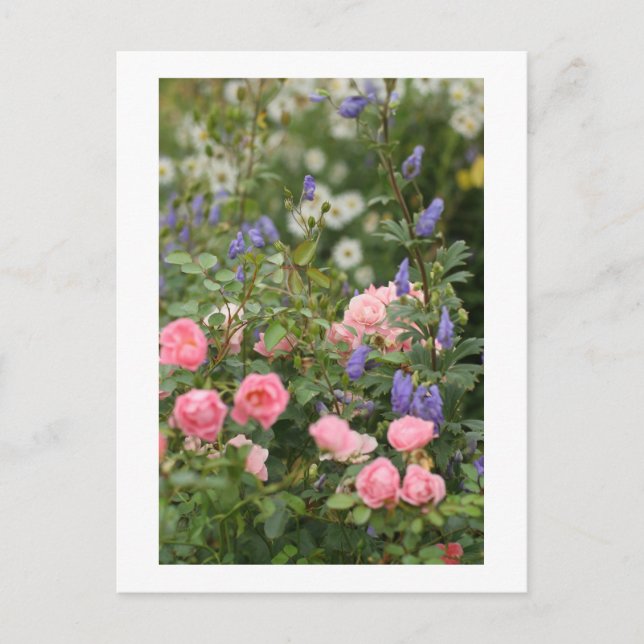 English Cottage Garden Postcard (Front)