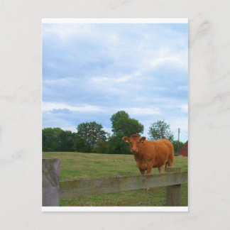 English countryside photos postcard