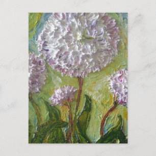 English Daisy Postcard